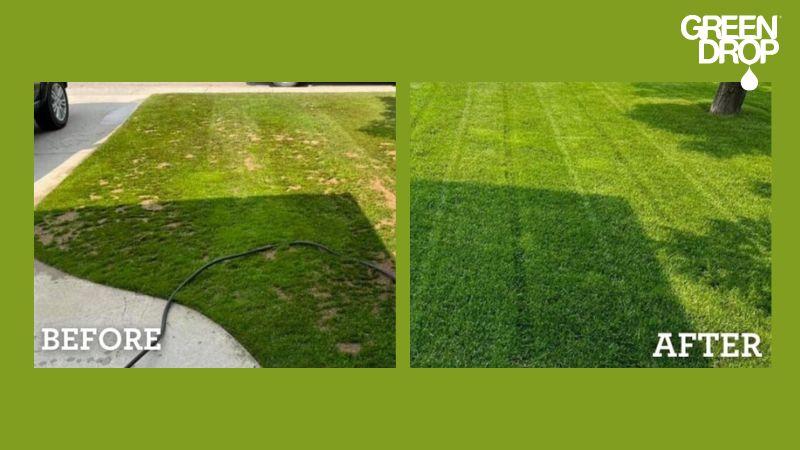 Before and after comparison of a lawn treated by Green Drop, showing a transformation from patchy grass to a lush, healthy green lawn.