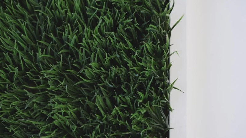 A close-up view of dense, healthy green grass along a white surface. Well-maintained lawns support strong root systems.