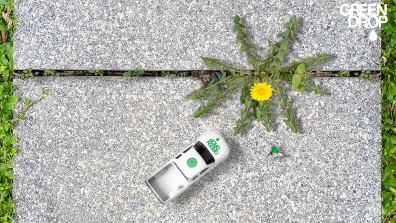 A bright yellow dandelion sprouting between pavement cracks, with a Green Drop toy jeep nearby. The playful illustration represents professional lawn care services and weed control solutions.