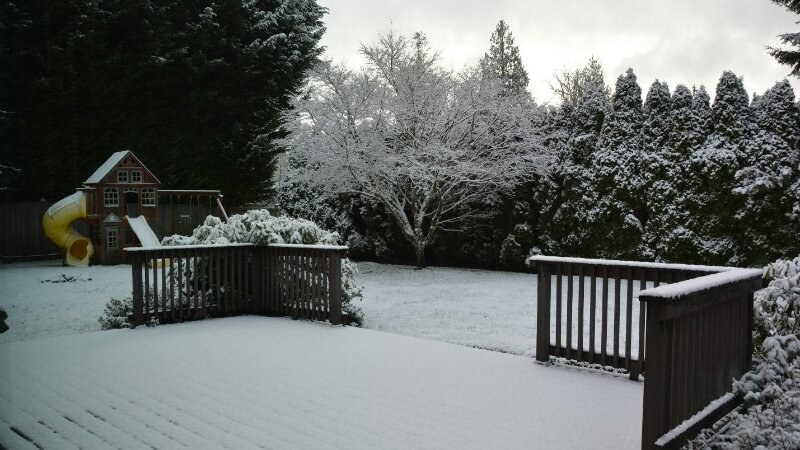 A snow covered yard with trees and a fence