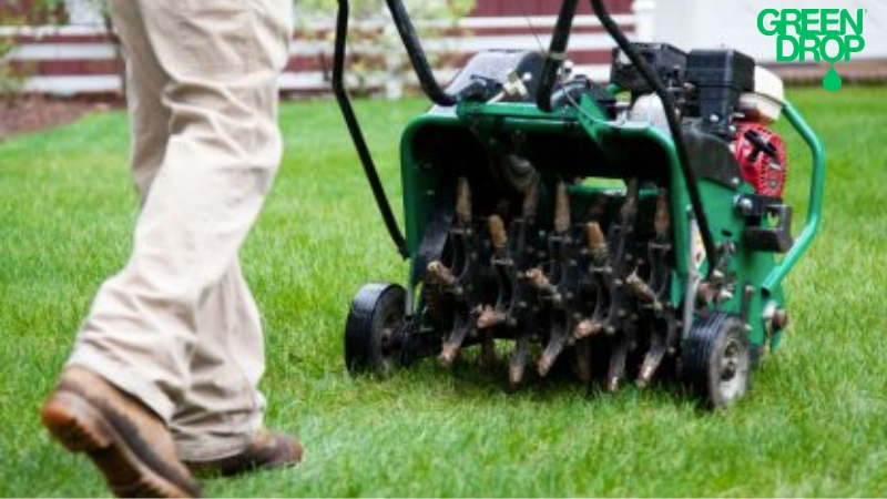 Green Drop worker using aeration tool on the lawn