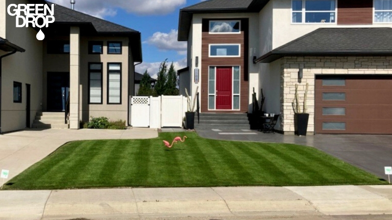 front lawn in Calgary treated by Green Drop
