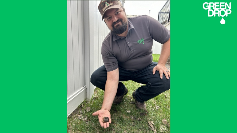 Green Drop employee holding a lawn plug