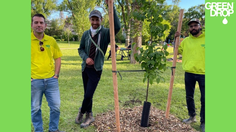 Green Drop employees planting trees