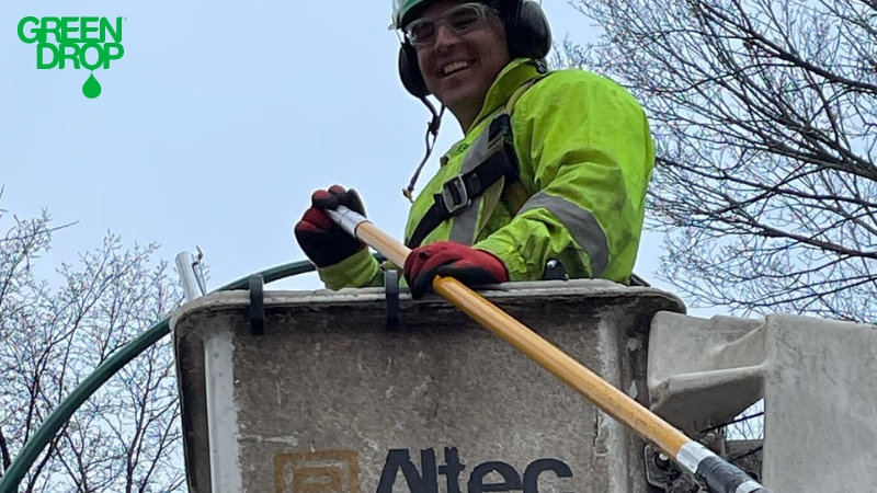 Green Drop employee trimming a tree with a lift