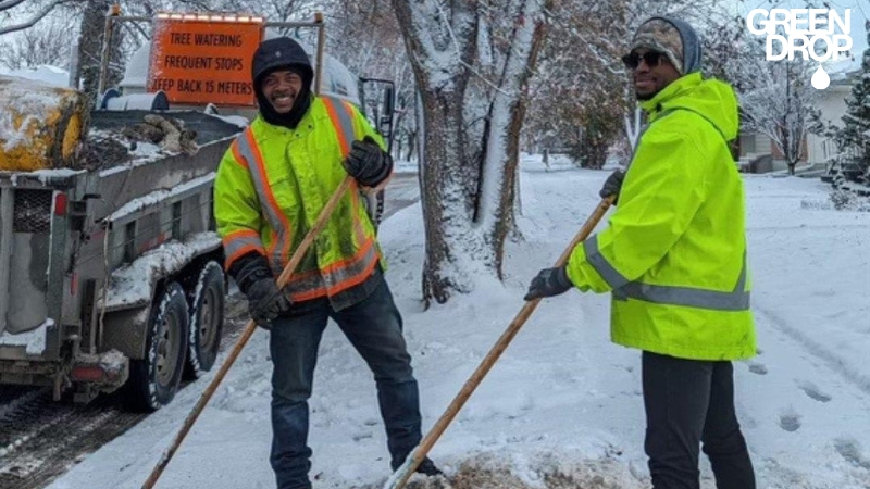 Frost-Proofing Your Foliage: How to Get Your Trees Ready for Winter in Alberta