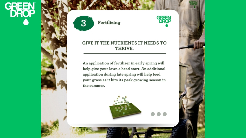 fertilizing tips for spring lawn by Green Drop in Saskatoon