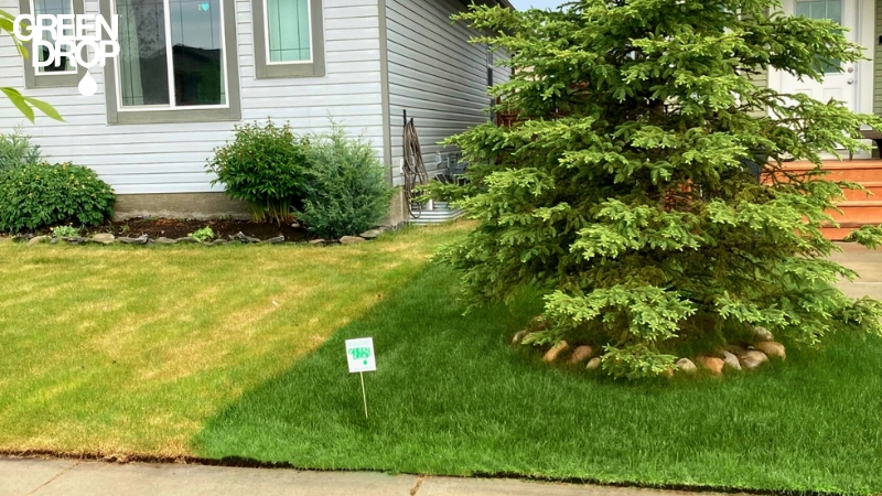 front lawn done by Green Drop in saskatoon