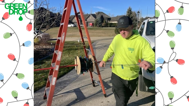 Green Drop worker setting up lights with a ladder