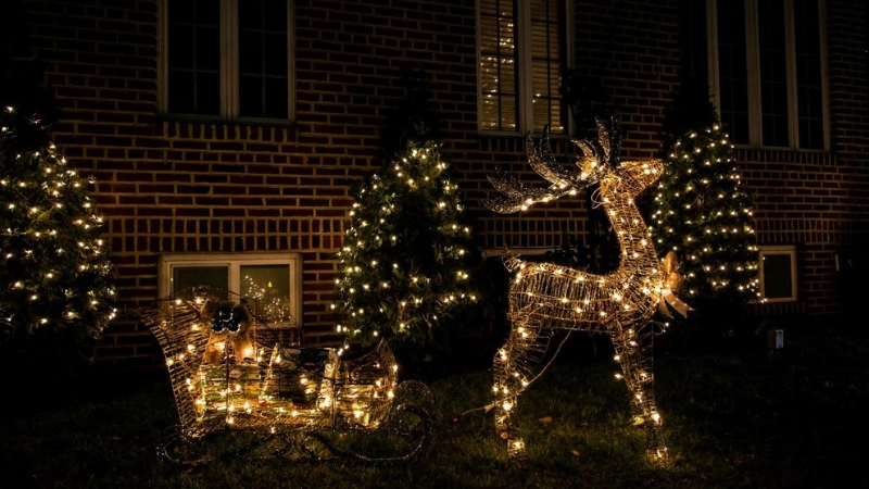 Reindeer and sleigh holiday lights