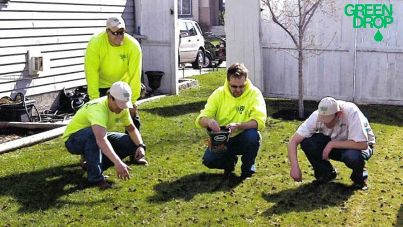 Green Drop employees preparing a lawn for autumn