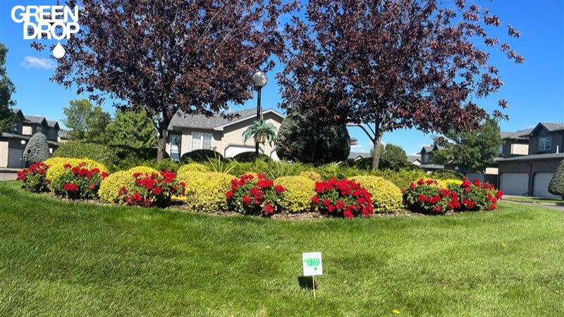Flowers on a lawn with a Green Drop sign in front