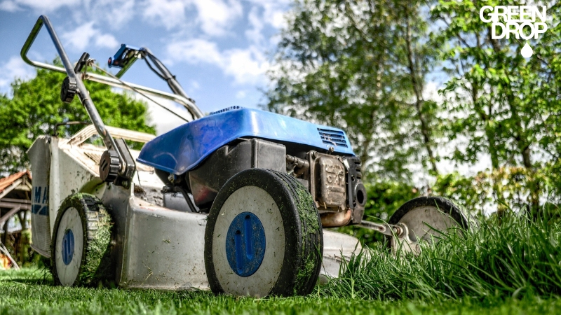 Green Drop lawn mower close up