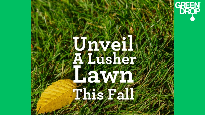 Fall Lawn Checklist For What to Do Before the First Frost