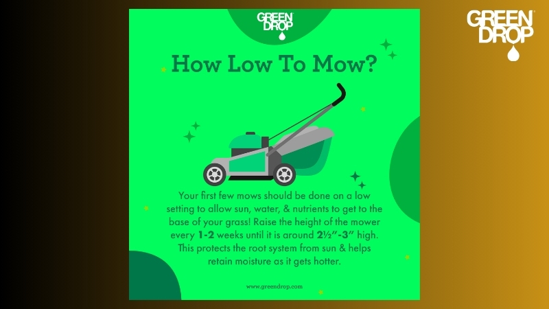 mowing height tip from Green Drop