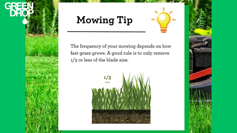 mowing tips by Green Drop for a better lawn