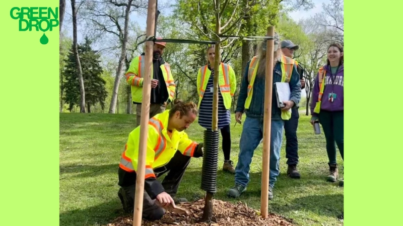 Green Drop employee showing people how to prune