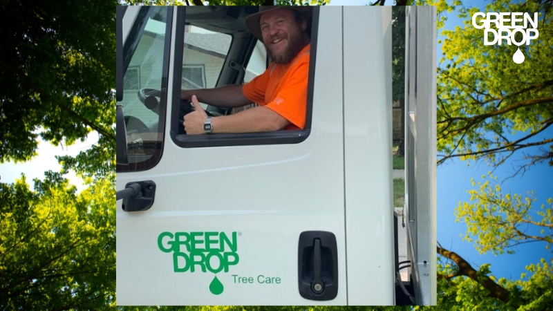 green drop worker showing thumbs up after treating oak decline