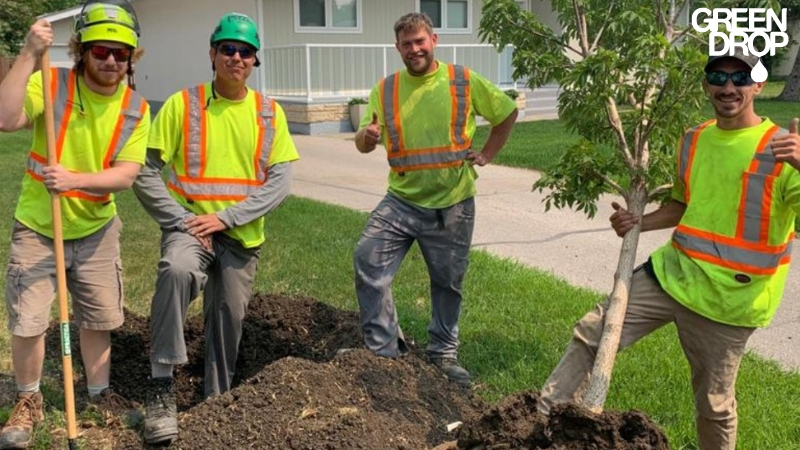 Green Drop workers planting new trees