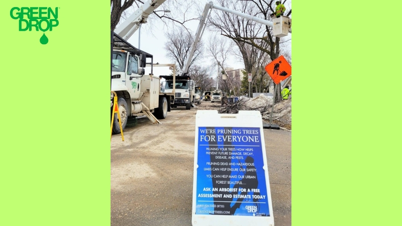 Green Drop pruning offer sign