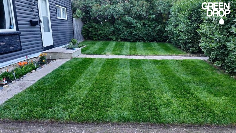 Freshly mowed lawn in Saskatoon by Green Drop