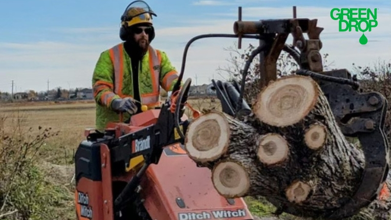 Green Drop worker using machinery to remove trees