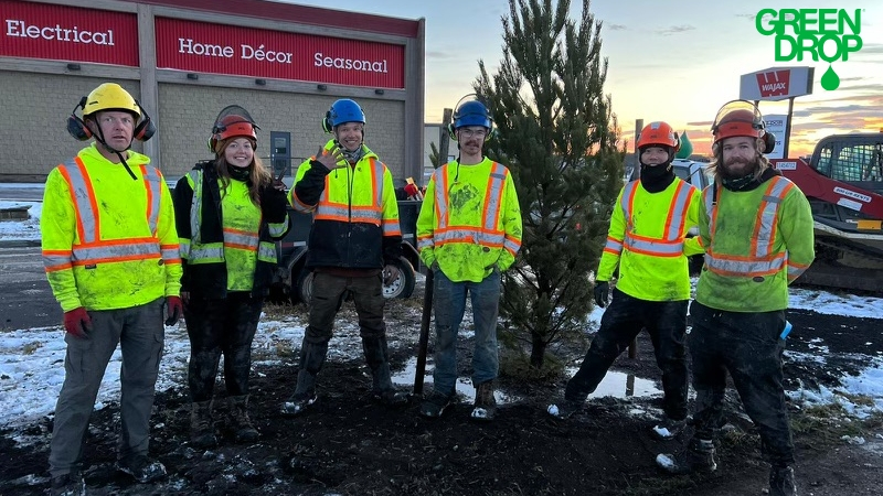 A group of Green Drop employees in safety gear posing next to a newly planted pine tree in a commercial area.