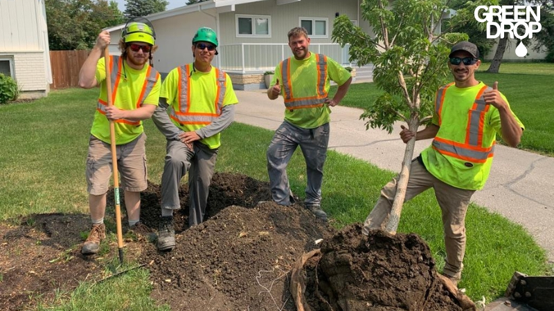 Green Drop workers planting a new tree showing thumbs up