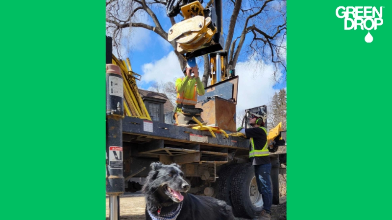 Green Drop team removing a tree with machinery