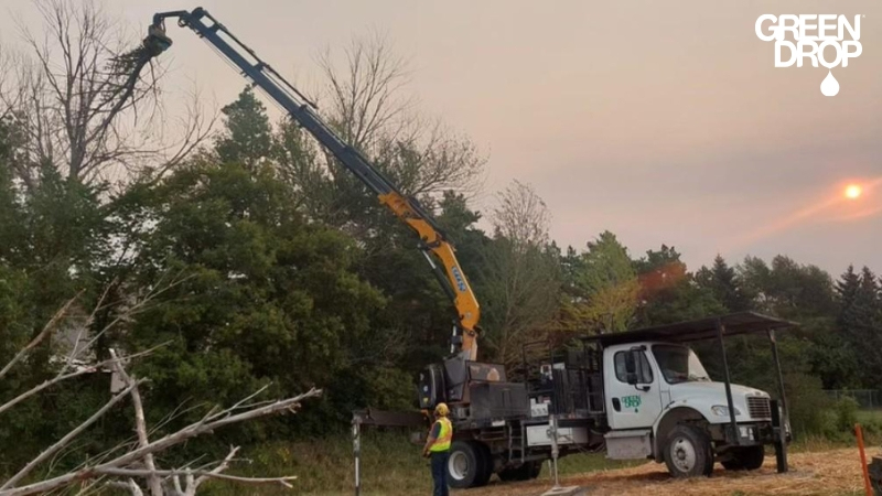 Green Drop team removing a tree with a lift