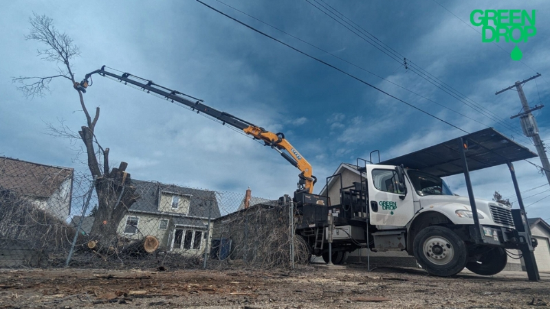 Green Drop team removing a tree with machinery