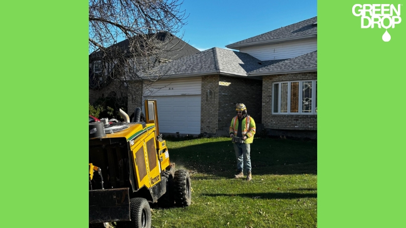 Green Drop worker using a machine to remove a stump