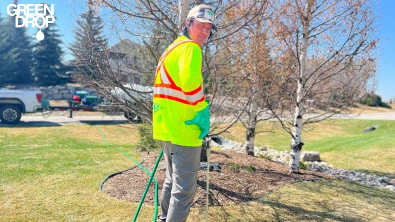 Green Drop worker watering trees in preparation for winter