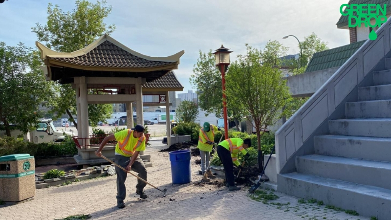 Green Drop urban tree preservation