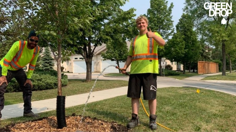Green Drop worker watering a tree showing thumbs up