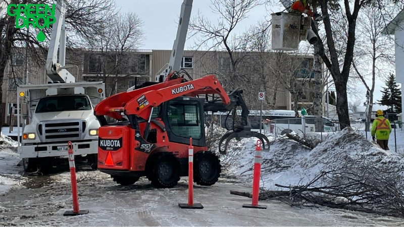 Green Drop workers using machines to prune trees in winter