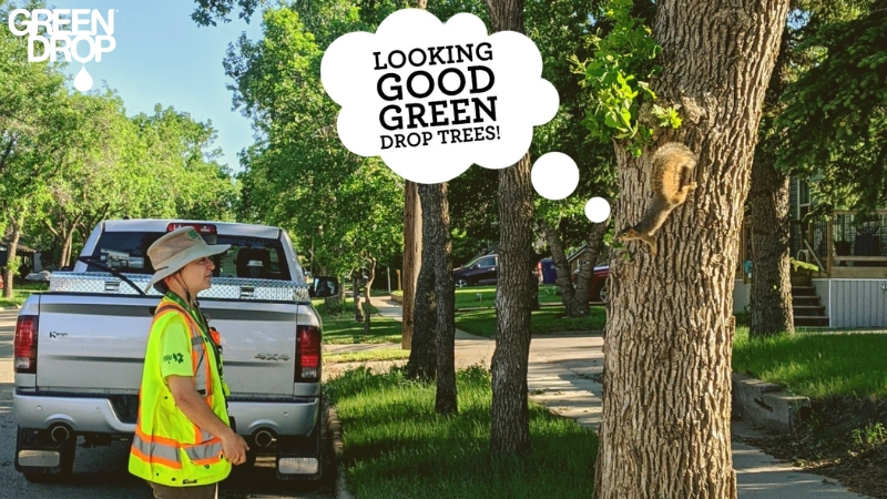 Green Drop worker in front of a tree with a text cloud