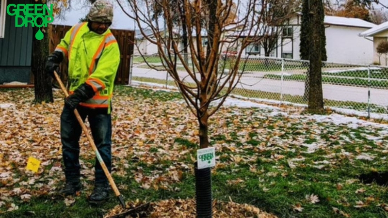 Green Drop worker mulching during winter