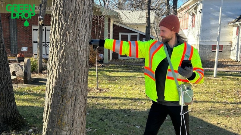 Green Drop worker inspecting a tree for structural damage