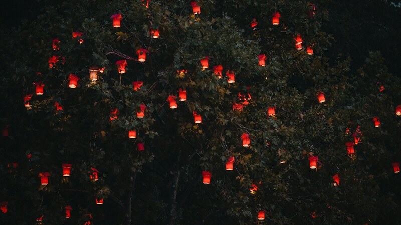 Halloween lantern decoration on tree