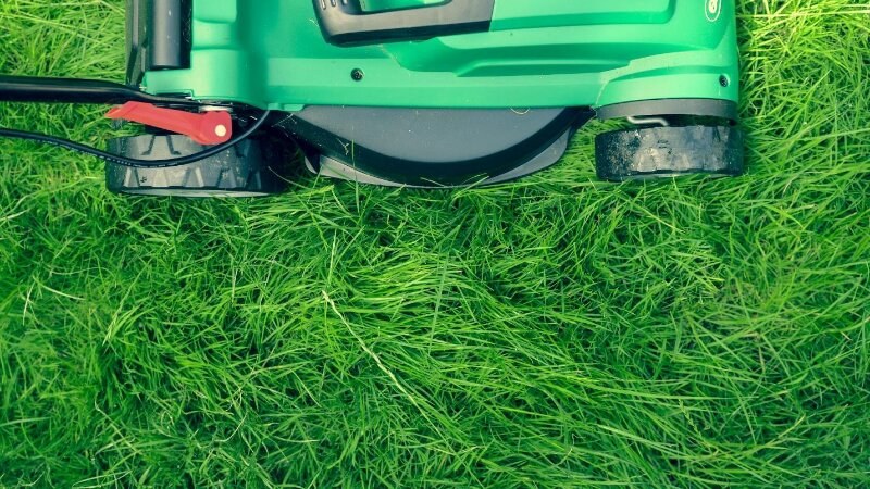 Lawn mower cutting grass