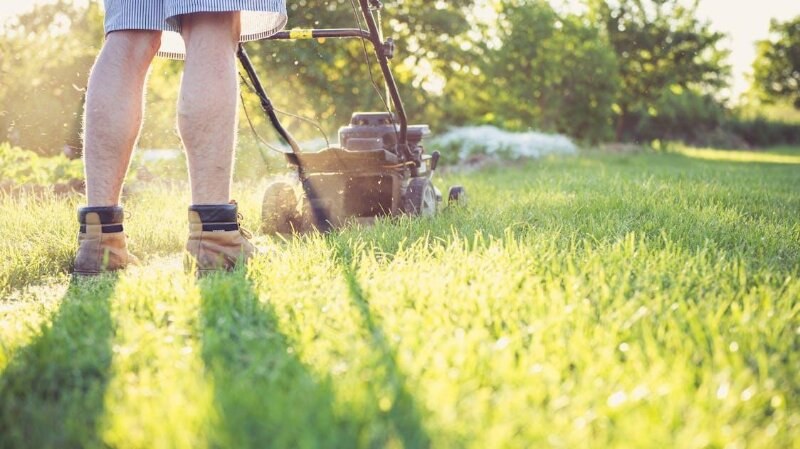 Person mowing a lawn