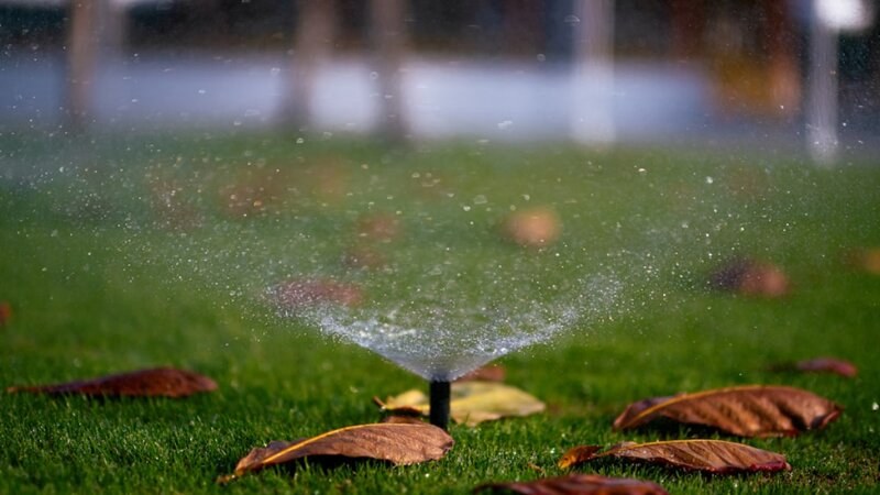 Sprinkler watering a lawn with leaves next to it