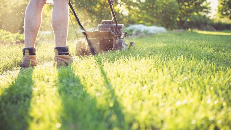 Close-up of a person mowing grass on a sunny day.