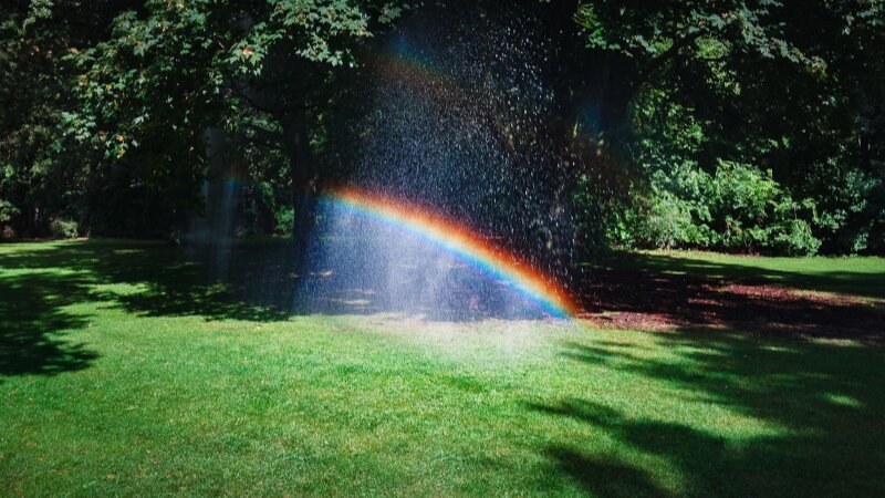 Rainy day and rainbow on a lawn