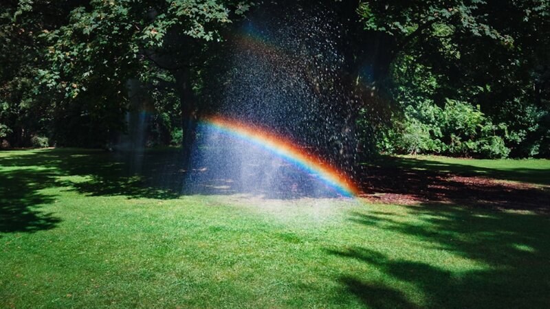 Rainbow during rain fall on a lawn