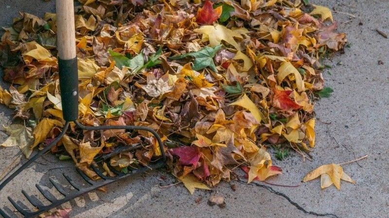 A pile of colorful autumn leaves in yellow, orange, and red, next to a rake on a concrete surface