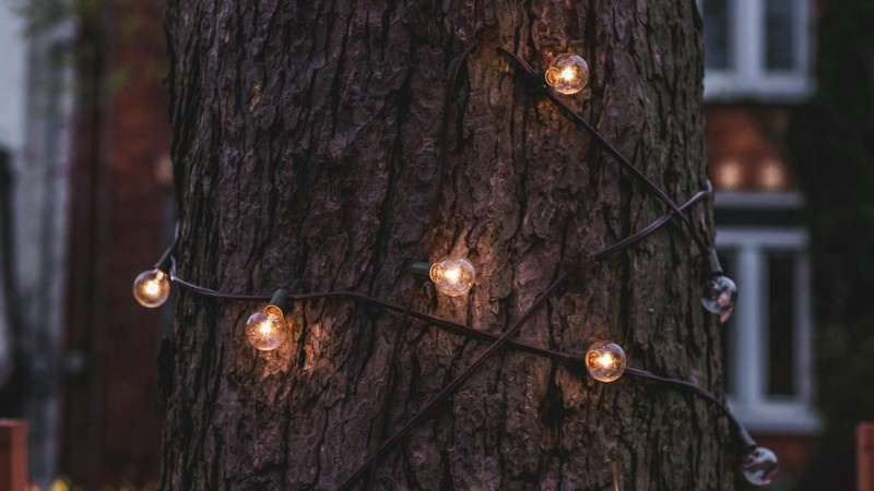 Warm string lights wrapped around a tree trunk, creating a cozy and decorative outdoor lighting effect.