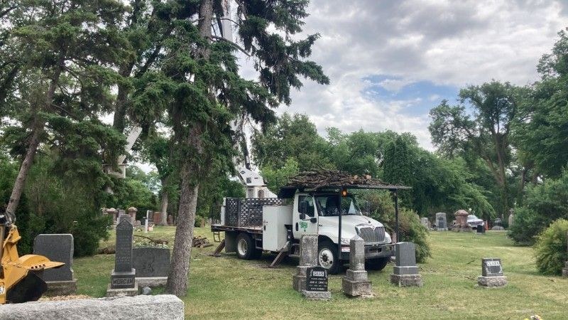 A Green Drop truck with workers carries out tree maintenance in a cemetery.