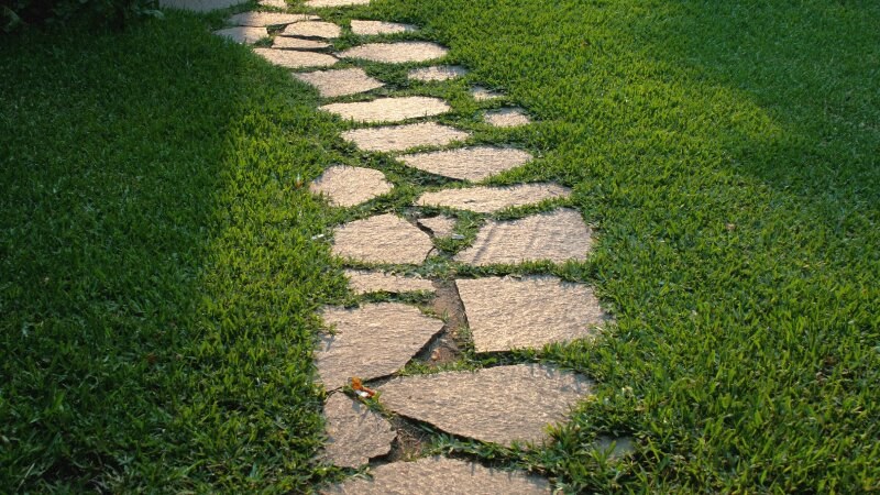 Stone pathway in a yard